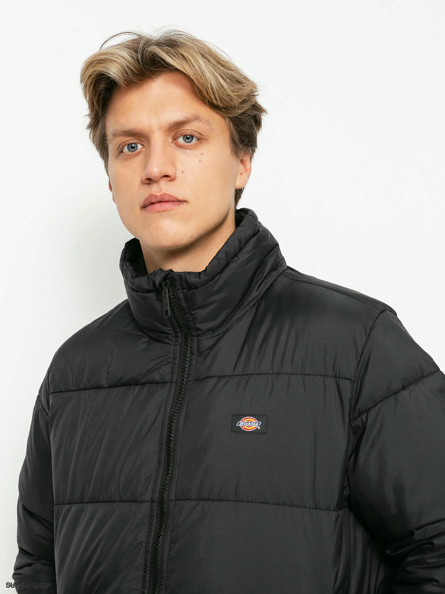 Dickies Waldenburg Jacket (black)