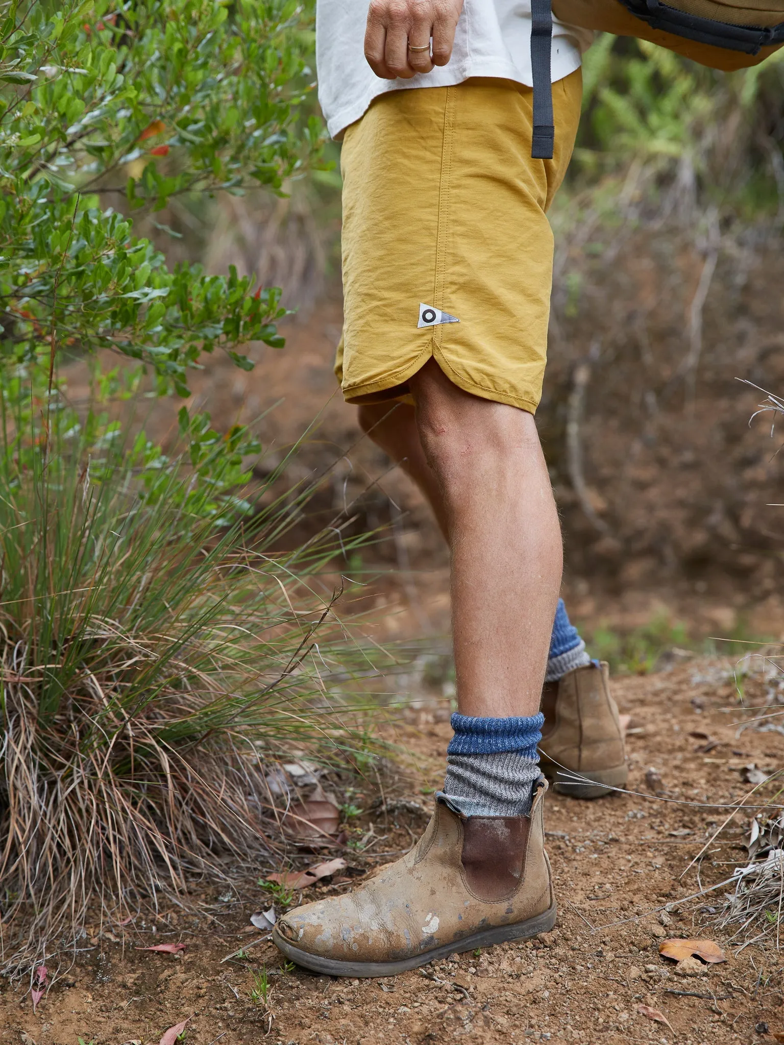 Scallop Trunks